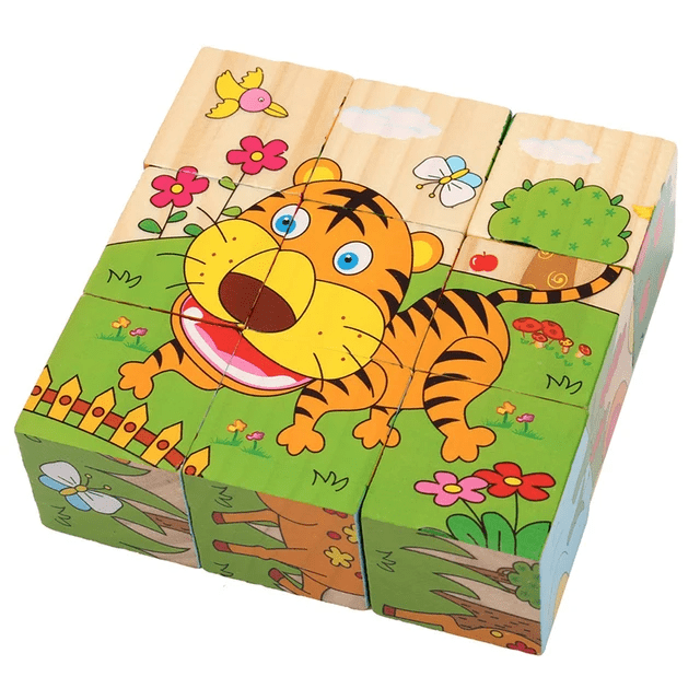 6 in 1 - 9 piece Wooden Puzzle