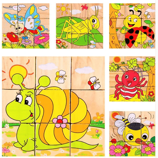 6 in 1 - 9 piece Wooden Puzzle