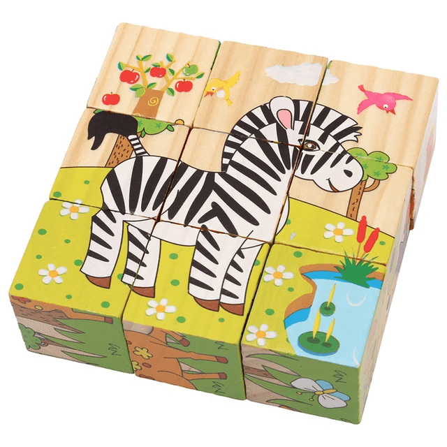 6 in 1 - 9 piece Wooden Puzzle