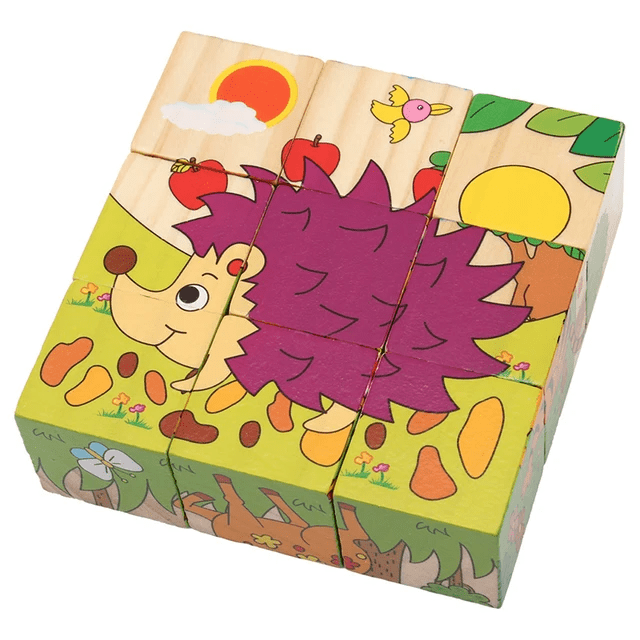 6 in 1 - 9 piece Wooden Puzzle