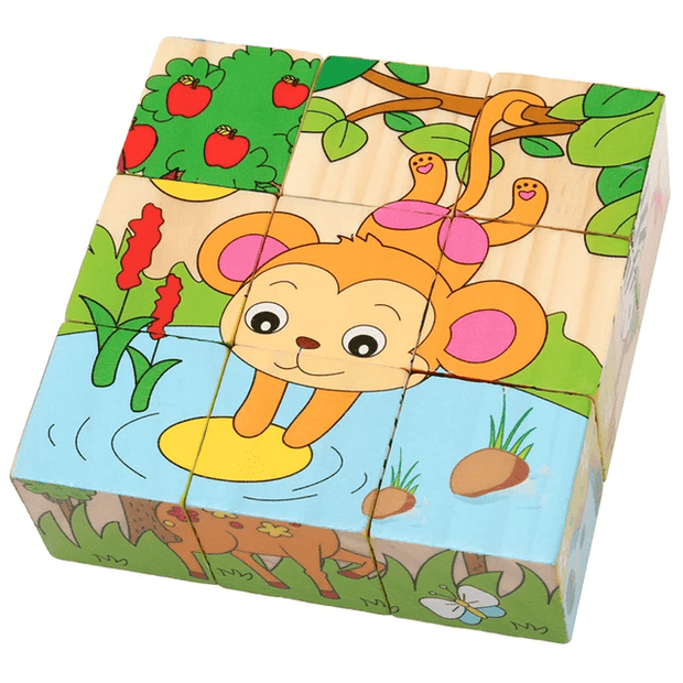 6 in 1 - 9 piece Wooden Puzzle