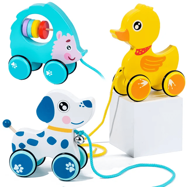Animal Theme Wooden Pull along toy