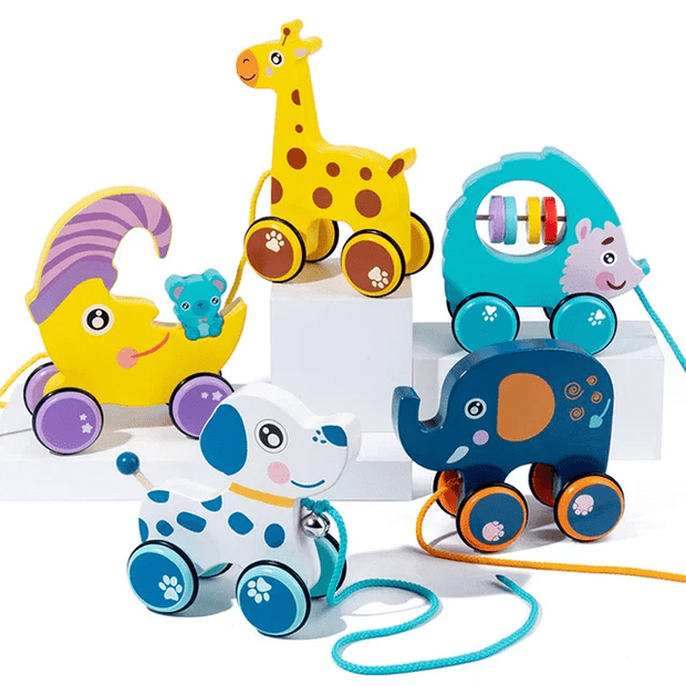 Animal Theme Wooden Pull along toy