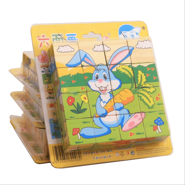 6 in 1 Puzzle 16 Piece Wooden Puzzle