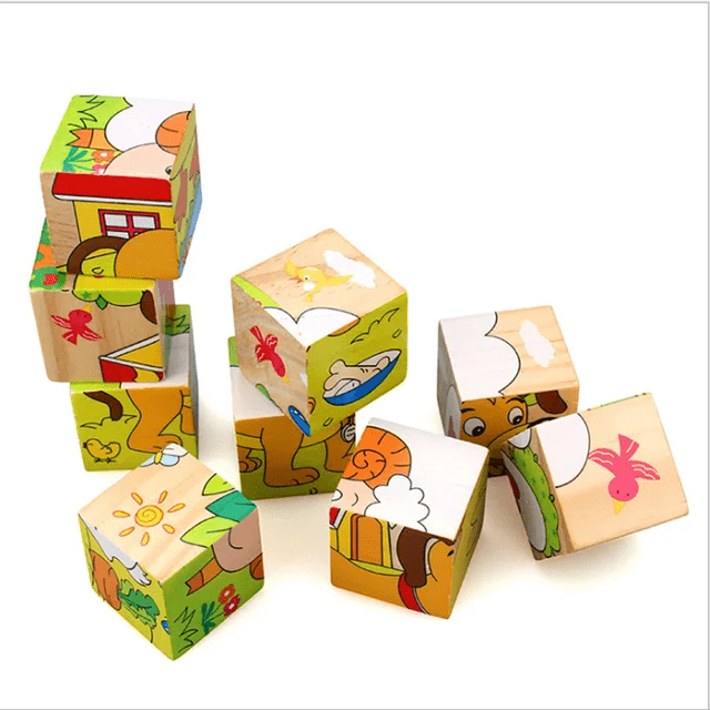 6 in 1 Puzzle 16 Piece Wooden Puzzle
