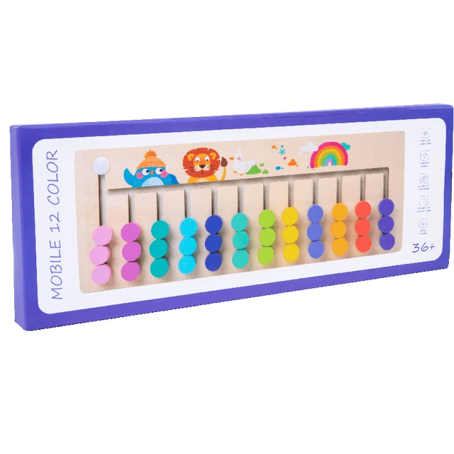 12 Colour Logical Wooden Puzzle