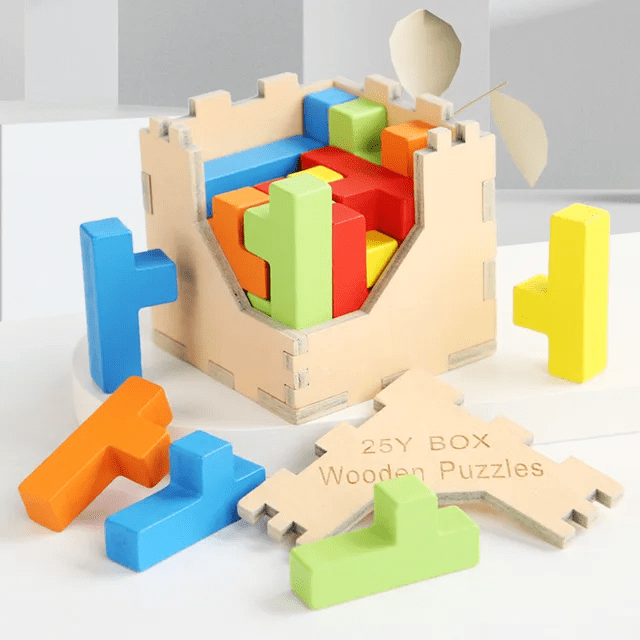 25P Box Puzzle Wooden Blocks Cube