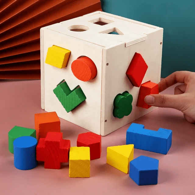 Fifteen Hole Shape Sorter Intelligence Box - Wooden