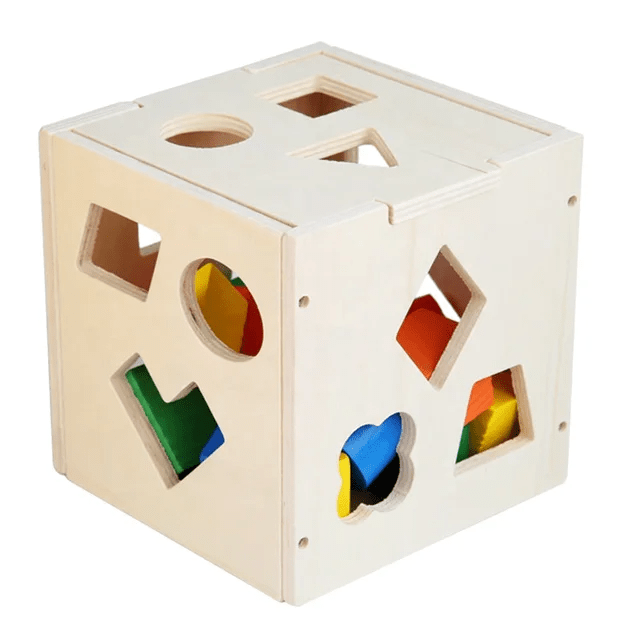 Fifteen Hole Shape Sorter Intelligence Box - Wooden