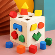 Fifteen Hole Shape Sorter Intelligence Box - Wooden