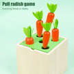 Wooden Multifunctional 5 in 1 Education game