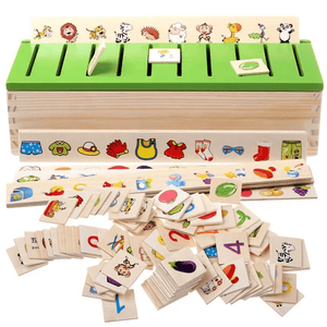 Knowledge Classification Box - Wooden