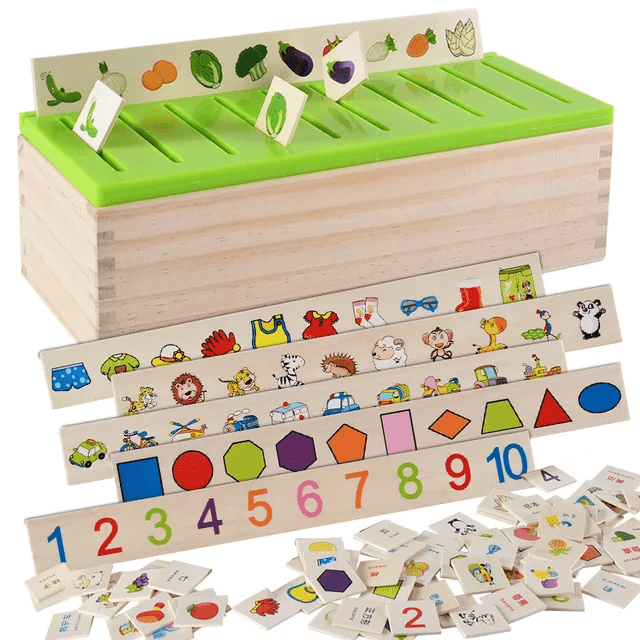 Knowledge Classification Box - Wooden