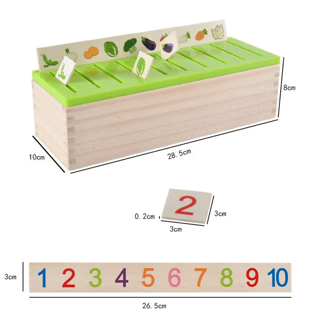 Knowledge Classification Box - Wooden