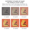 Visual Cards - 3 to 6 months