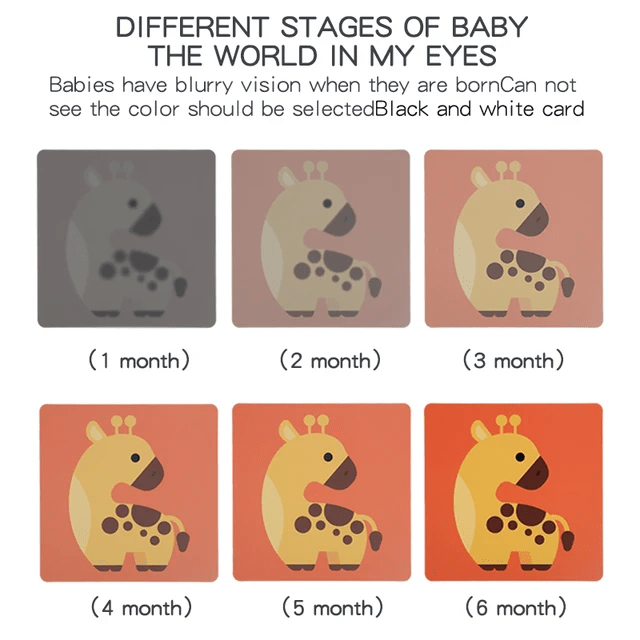 Visual Cards - 6 to 12 months