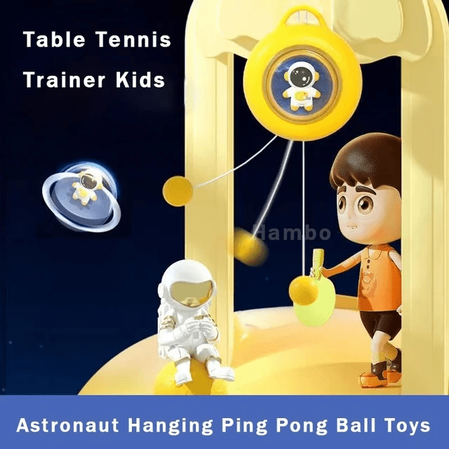 Hanging Table Tennis Trainer