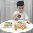 Fitted Tray Magnetic Fishing - Wooden
