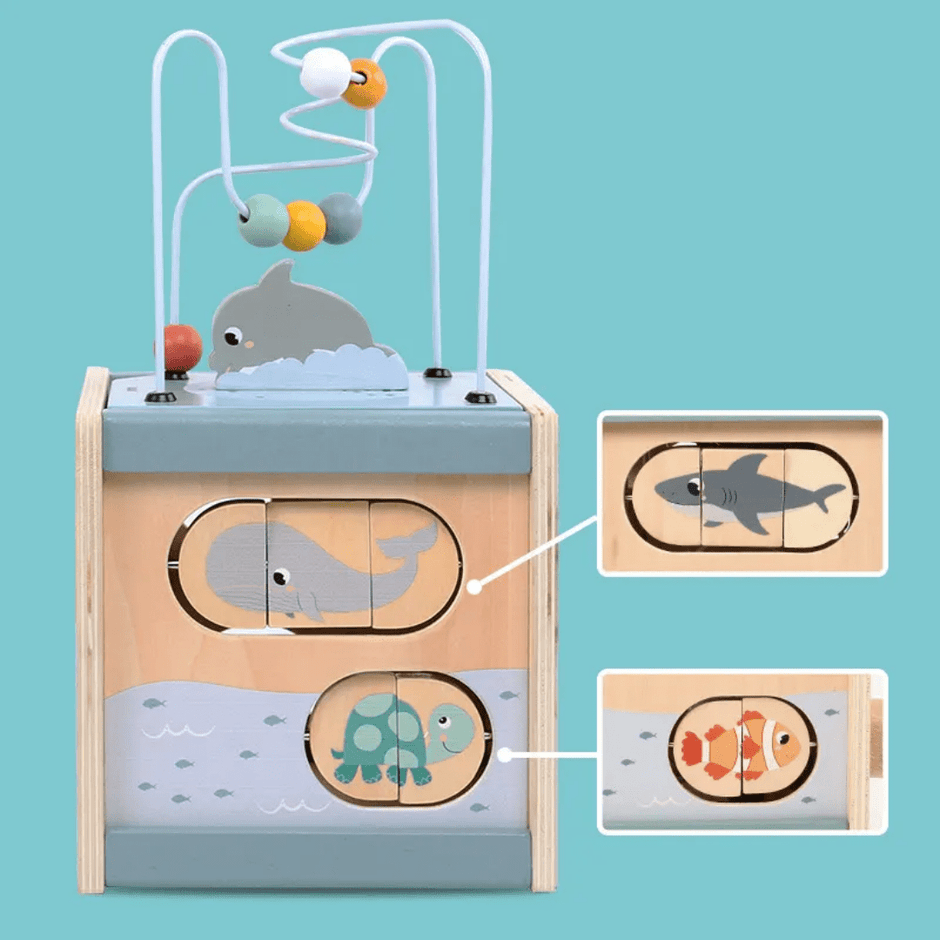 Wooden Multifunctional 5 in 1 Activity Cube - KABI