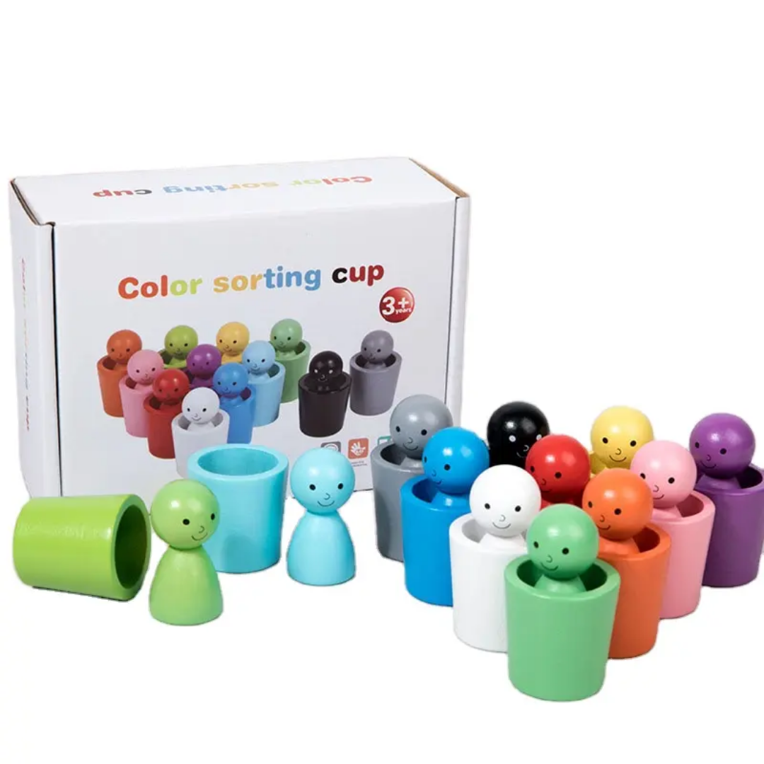Wooden Colour Sorting Cup
