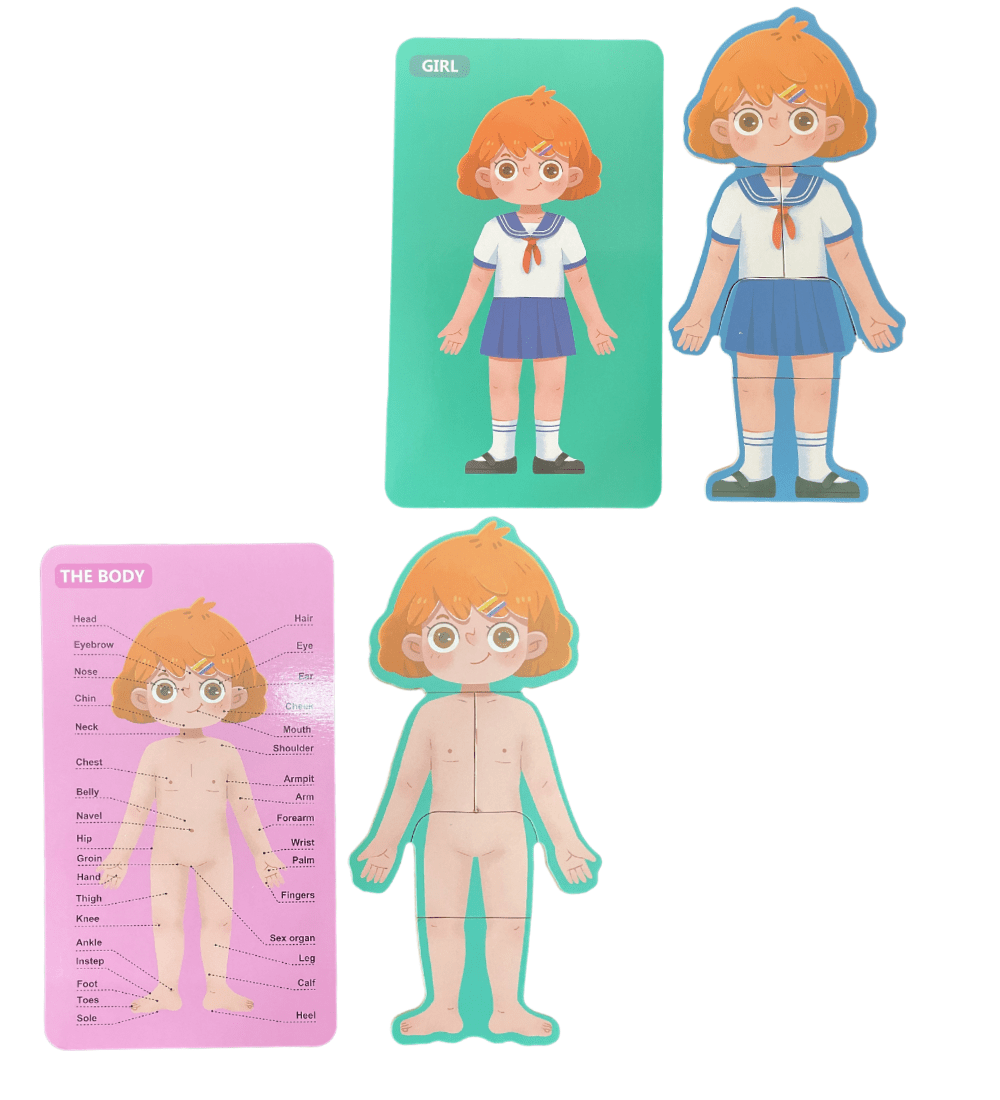 Wooden Body Structure Puzzle - Girl