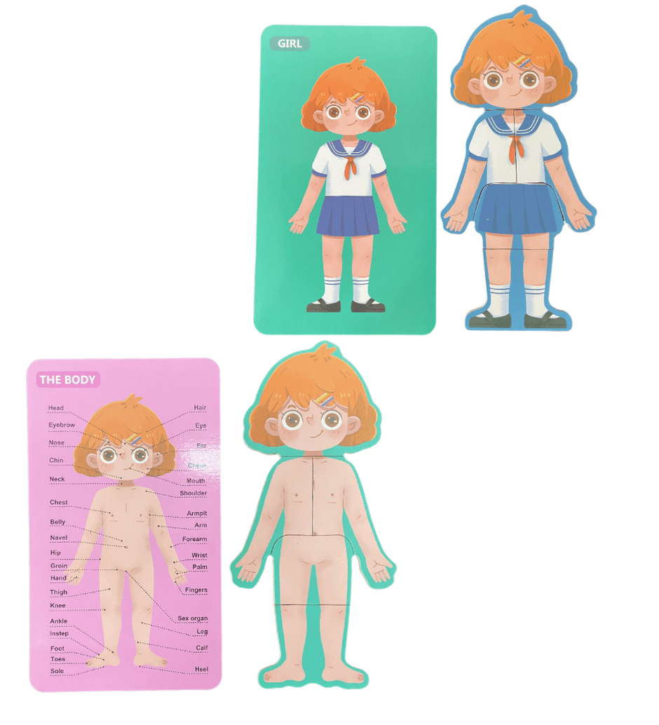 Wooden Body Structure Puzzle - Girl