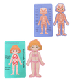 Wooden Body Structure Puzzle - Girl