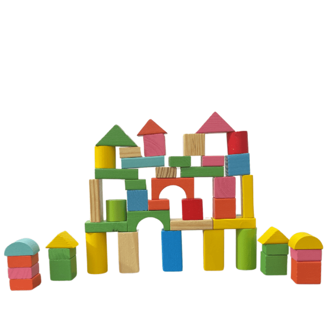 Wooden Building Blocks 50 Pcs