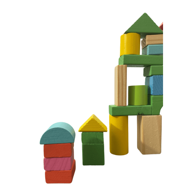 Wooden Building Blocks 50 Pcs