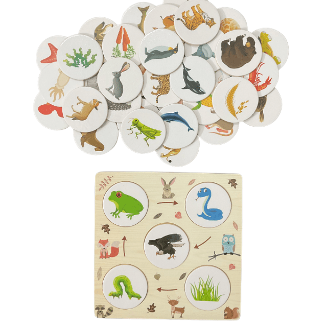 Wooden Food Chain Game