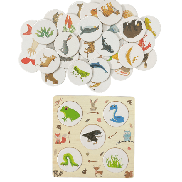 Wooden Food Chain Game