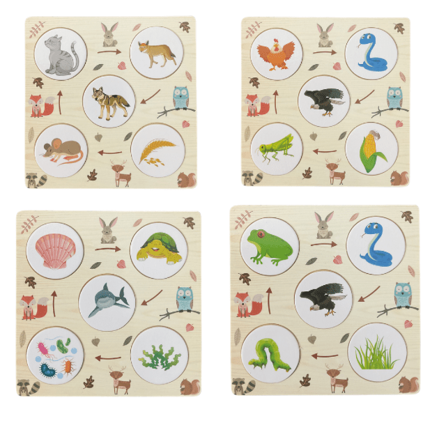 Wooden Food Chain Game